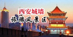 午夜亚洲激情久久中国陕西-西安城墙旅游风景区